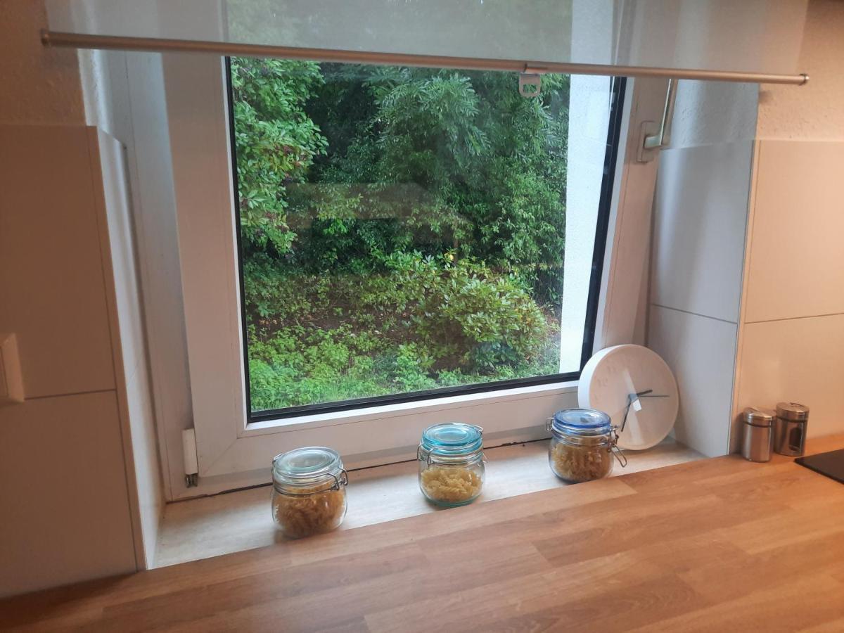 Precioso Apartamento, Aparcamiento Gratis 아우구슈투스부르크 외부 사진